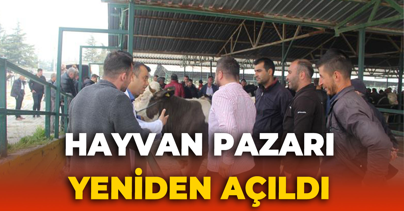 Kurban Bayramının Yaklaşmasıyla Hayvan Pazarı Açıldı TV32 Isparta