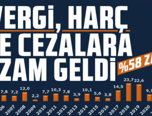 2024 Yılında Vergi, Ceza ve Harçlara Uygulanacak Zam Oranı Belli Oldu