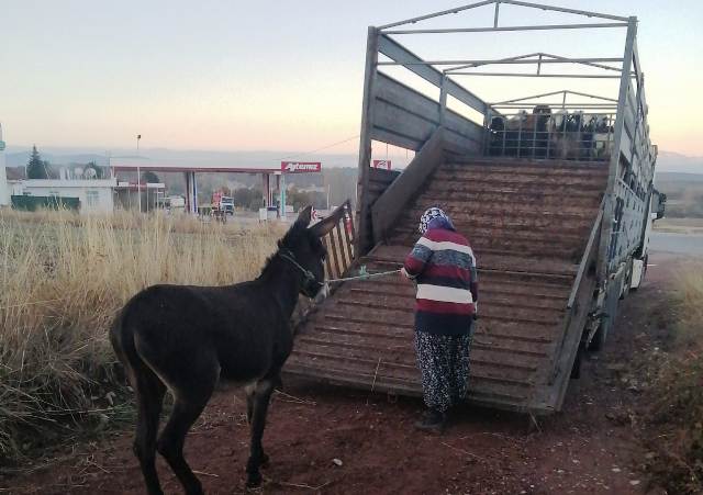Asırlardır  ”yaylak” ve kışlak