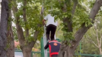 Ağaçta mahsur kalan çocuk kurtarıldı