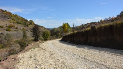 Arazi Meselesi Sebebiyle Polis Memuru Kardeşini Vurdu