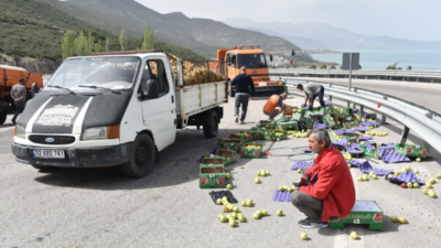 Kamyonetteki elma kasaları yola savruldu