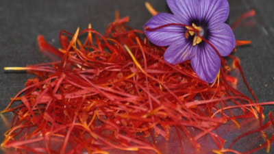 Yanına Yaklaşılmıyor! Fiyatı Altın İle Yarışıyor