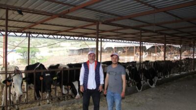 Bu Projede Karşılıksız Hibe Desteği Veriliyor