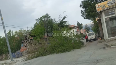 Isparta’da Zor Anlar Rüzgar Dev Ağacı İkiye Böldü