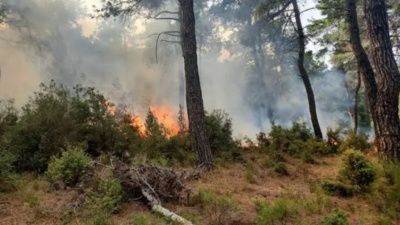 Isparta’da Yıldırım Düşmesi Sonucu ormanlık alanda yangın çıktı