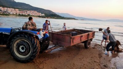 ALTINKUM PLAJINDA KIYI TEMİZLİĞİ