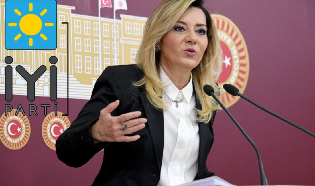 Aylin Cesur, istifasını sosyal