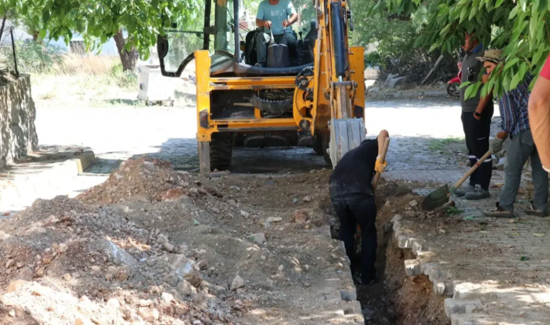 Senirkent Belediye Başkanı Hüseyin