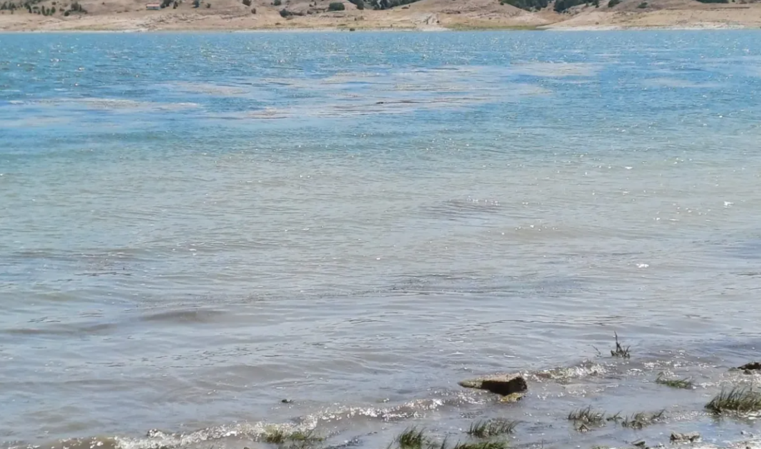 Eğirdir Gölü’nde yaşanan toplu