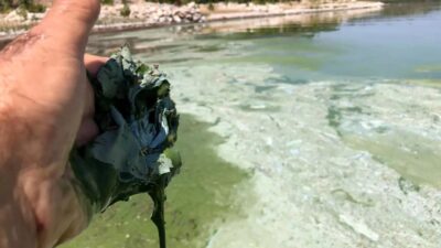 Eğirdir Gölü Büyük Tehlike Altında