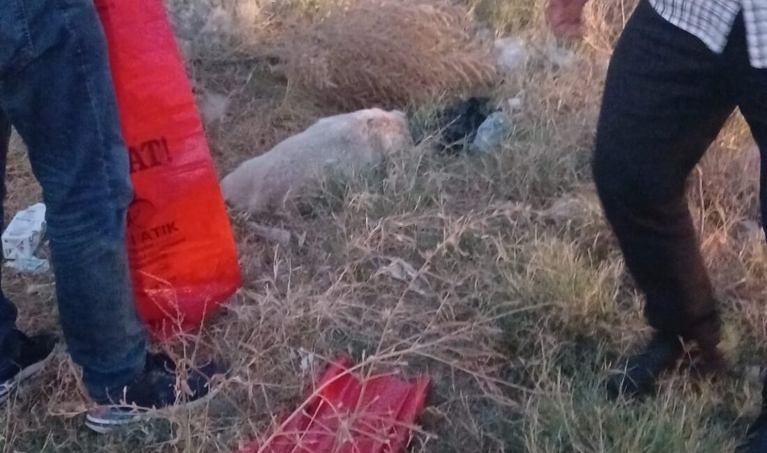 Bugün akşam saatlerinde Yakaören