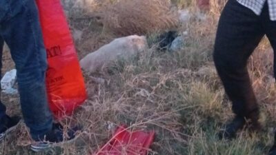 Yakaören Köyü’nde Sokak Hayvanları Katliamı