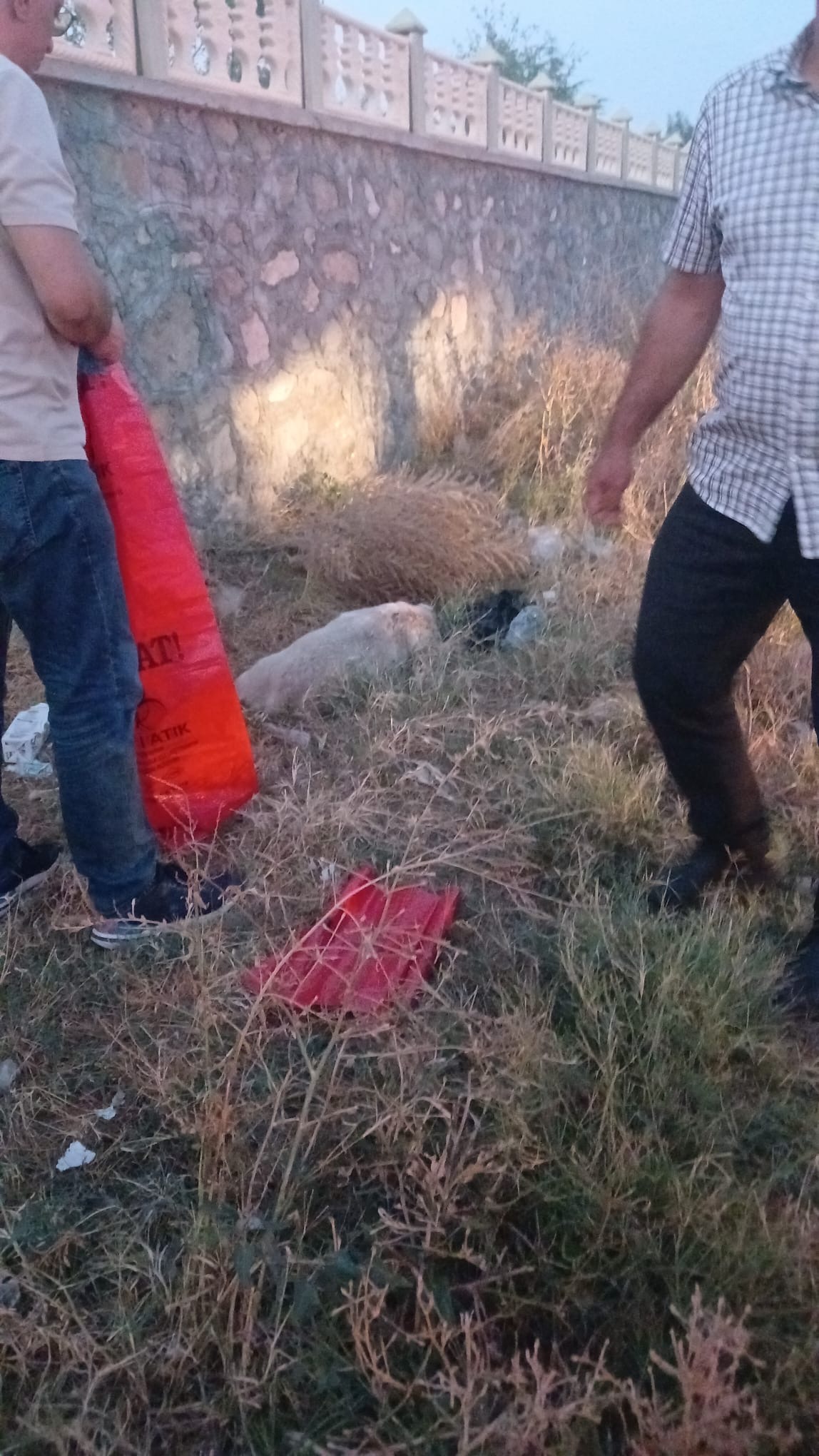 Yakaören Köyü’nde Sokak Hayvanları Katliamı