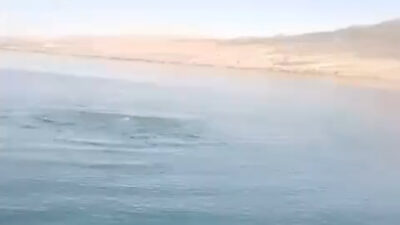 Eğirdir Gölünde Kabarcıklar Görüldü