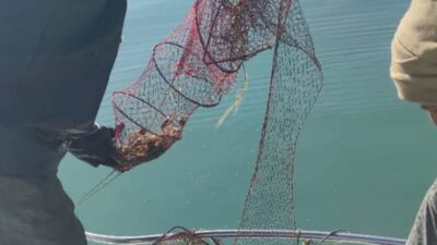 Yasağı Çiğnedi 22036 TL Ceza Yedi