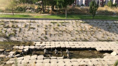 Uzun Süredir Devam Eden Sorunlar Ortaya Çıktı