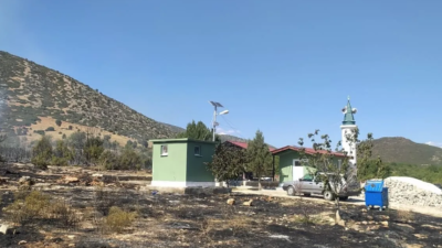 Korkutan Yangın : Şarkikaraağaç’ta Ormanda Yangın Çıktı