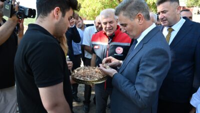 Mucizevi Bitkiye %75 Hibe Desteği