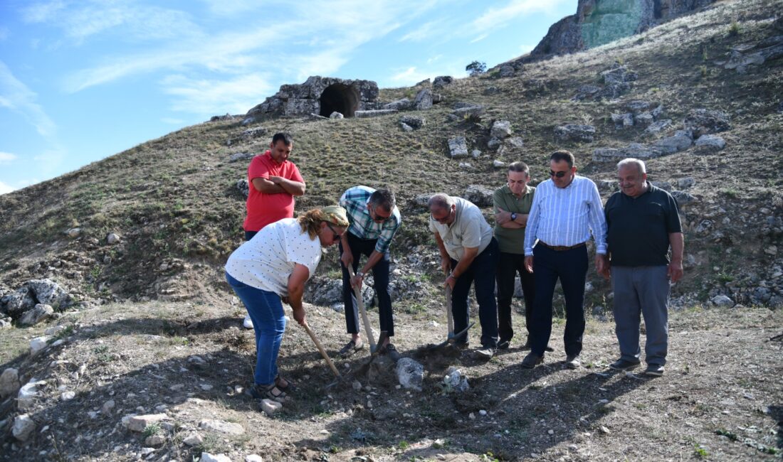 Isparta Ticaret ve Sanayi