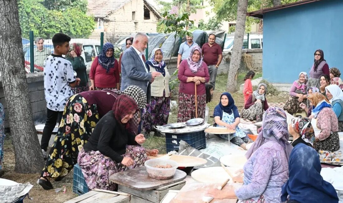 Başkan Başdeğirmen, Bozanönü’nün doğalgazla