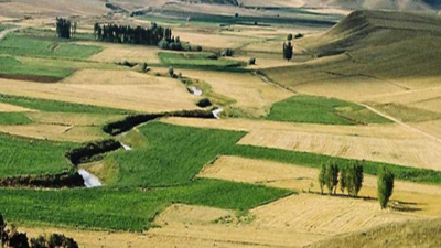 Tarım Arazileri Kiralanabilecek: İşte Detaylar