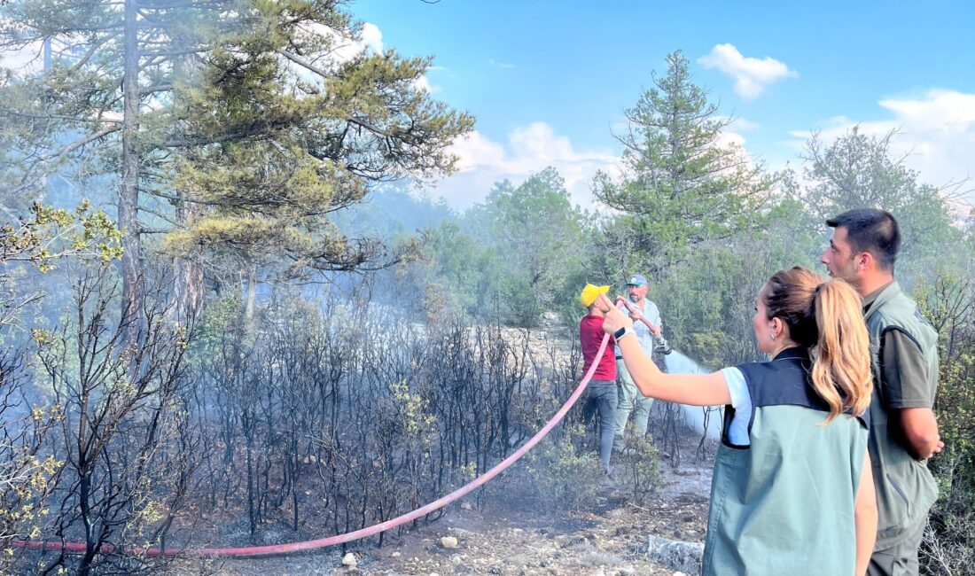 Burdur'un Çeltikçi ilçesi Tozluyatak