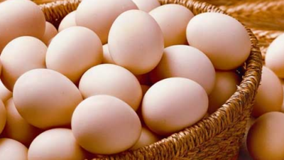 Yumurta Fiyatları Geriye Döndü