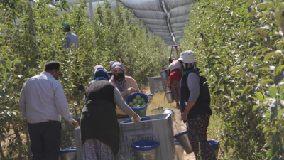 İşçi Yevmiyeleri Ne Kadar?
