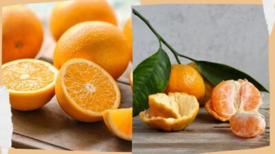 Sağlığımız için mandalina mı yoksa portakal mı daha faydalı ?