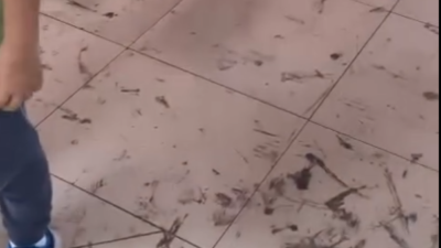 İlkokulların Temizlik Sorunları Velileri Korkutuyor