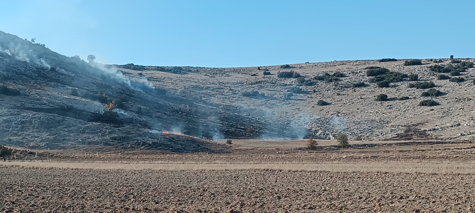 Isparta TOKİ Yakınlarında Yangın