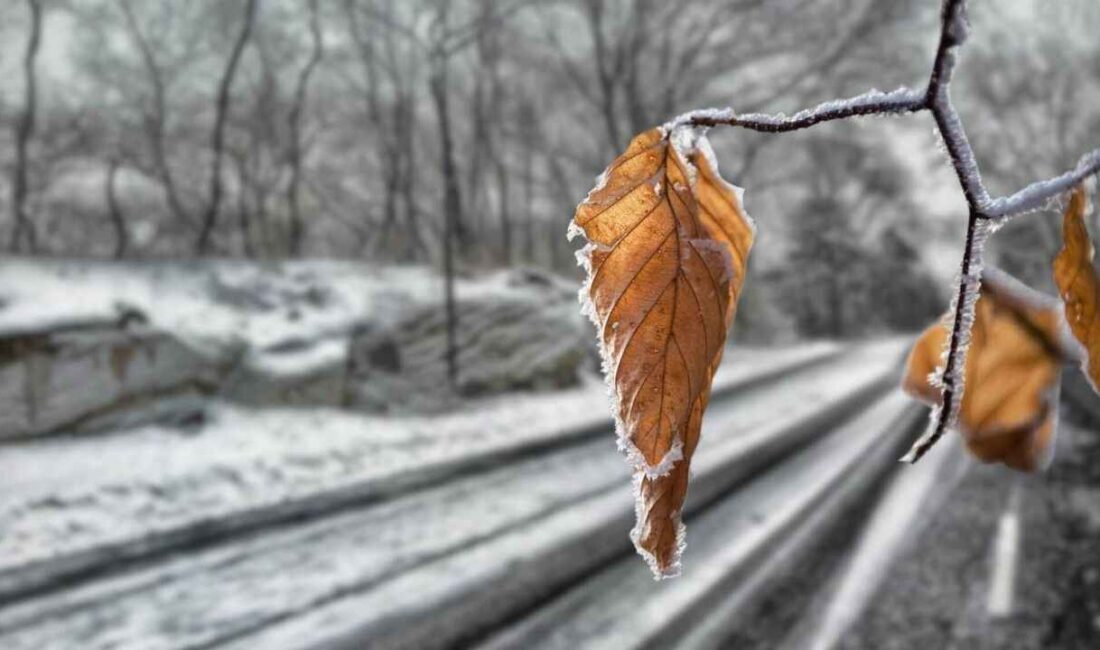 Meteoroloji 4. Bölge Müdürlüğü,