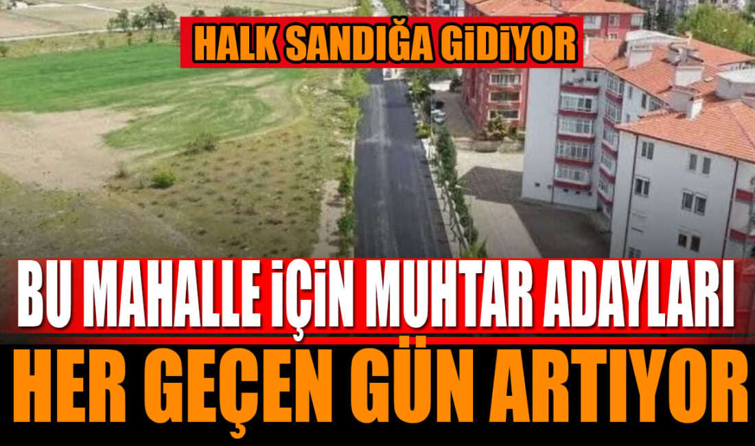 Isparta'nın yeni mahallesi için