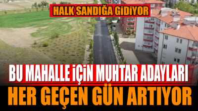 Bu Mahalle İçin Muhtar Adayları Her Geçen Gün Artıyor