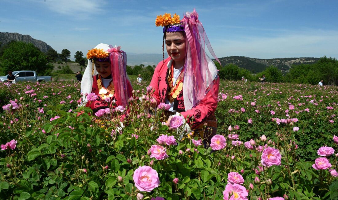 Isparta Uluslararası Gül Festivali