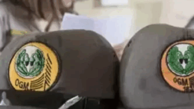 Orman Genel Müdürlüğü 496 Sözleşmeli Personel Alacak