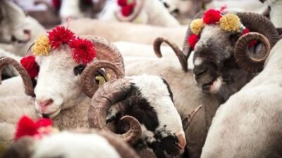 Kurban Bayramı Tatili Netleşti