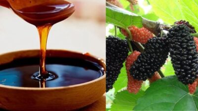 Sütçüler’de 32. Dut ve Pekmez Festivali’nin Tarihi Belli Oldu