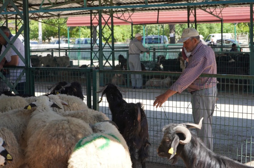 Isparta’da Kurban Bayramı Hareketliliği: Hayvan Pazarlarında Yoğunluk Arttı