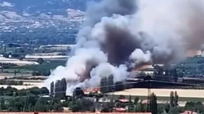 Atabey’in Harmanören Köyünde Arazi Yangını Paniği