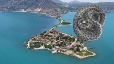 Eğirdir’de Yılan Alarmı: Vatandaşlar Tedirgin