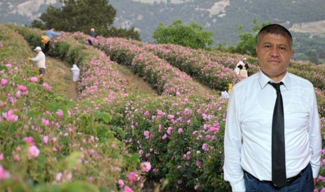 Türkiye’nin gül bahçesi olarak