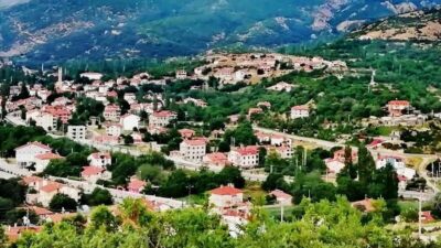 Hayaldi Gerçek Oluyor: Sav’a Modern Düğün ve Alışveriş Merkezi