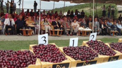 Uluborlu Kiraz Festivali Bu Yıl İptal Edildi