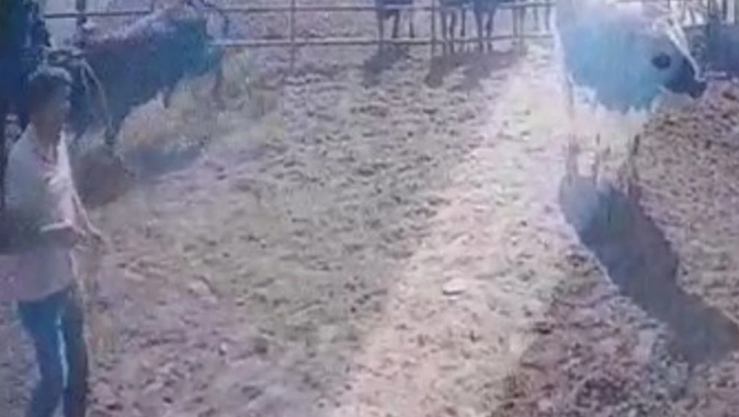 Eğirdir ilçesinde bir besihanede