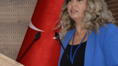 İnşaat Mühendisi Hicran Baykam hayatını kaybetti