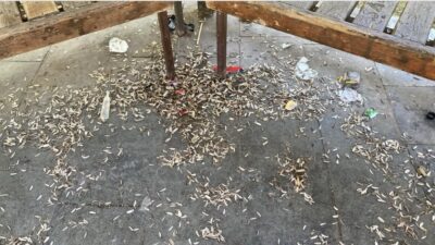 Isparta Belediyesi’nden Temizlik Uyarısı: “Isparta Hepimizin Evi”