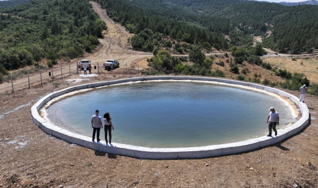 Isparta Orman Bölge Müdürlüğü,