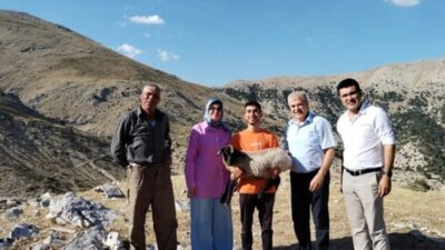 Uzman Eller Projesiyle Koyun Sayısını 186’ya Yükseltti